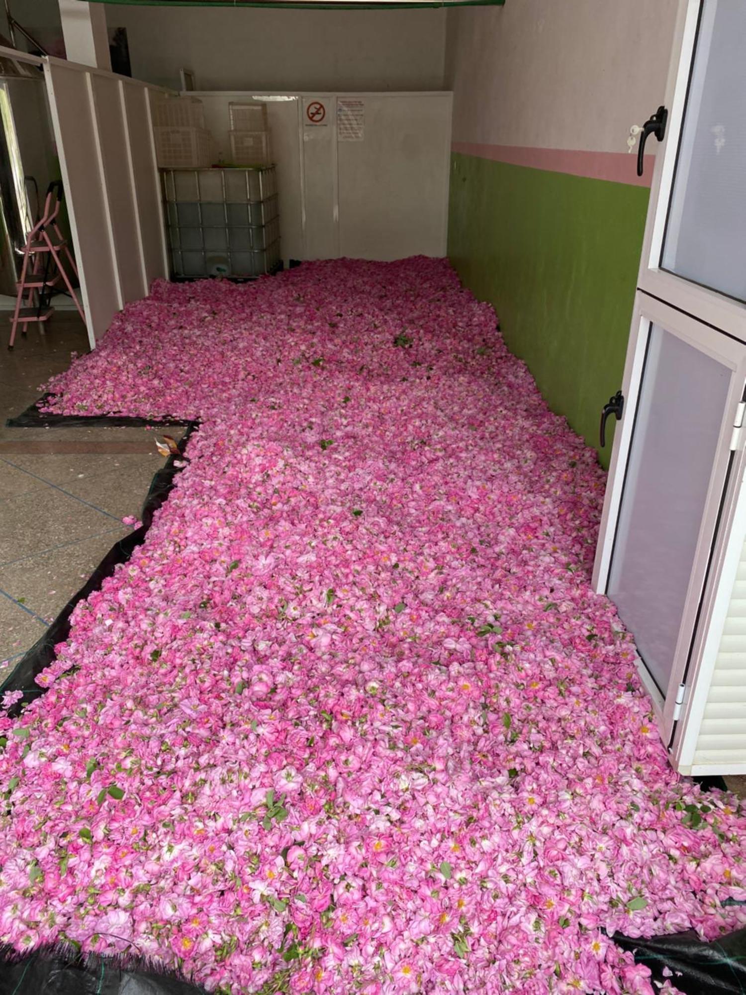 Dar Mgouna Roses Kelaat-M'Gouna Zewnętrze zdjęcie